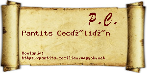 Pantits Cecílián névjegykártya